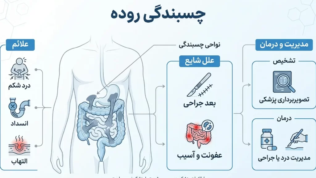 New Project (15) چسبندگی روده