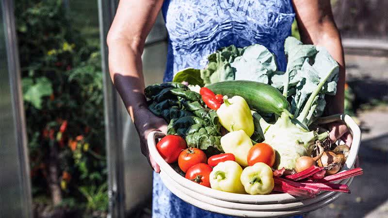 رژیم غذایی برای دیابت
