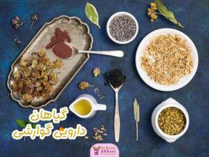 گیاهان دارویی گوارشی