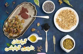 گیاهان دارویی گوارشی