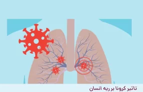 تاثیر کرونا بر ریه انسان